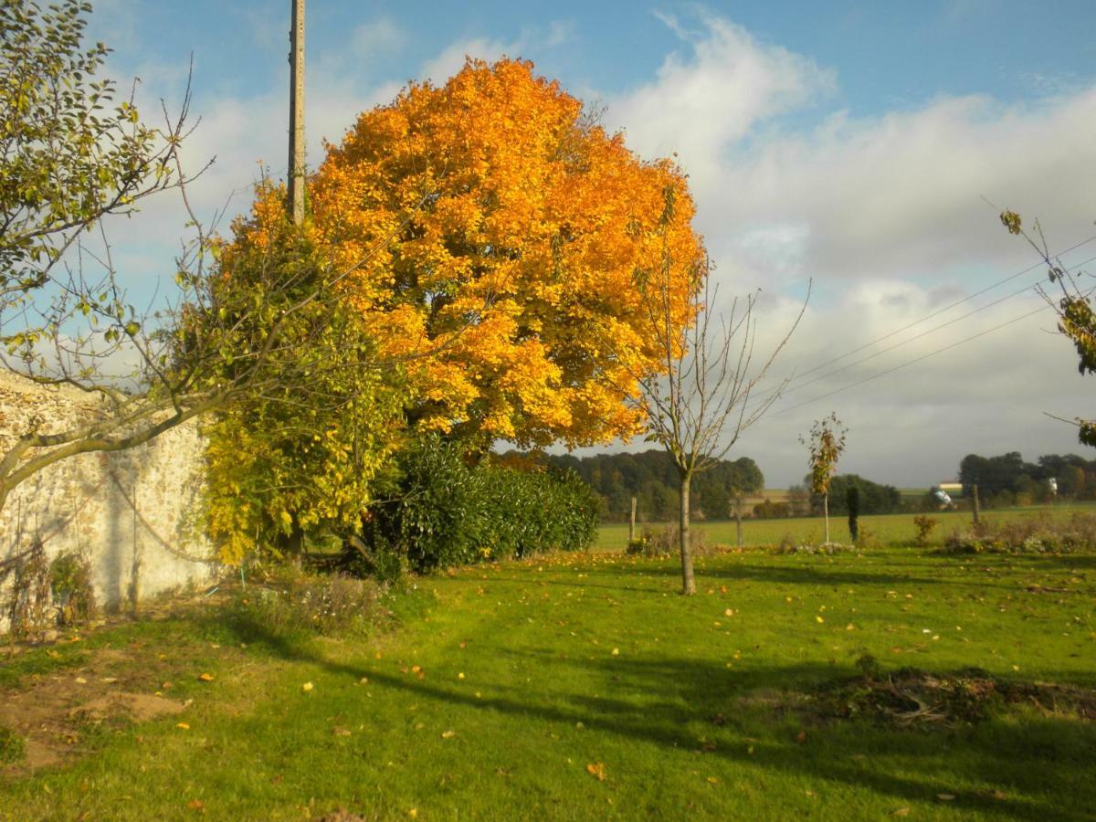 La Ferme Le Merger Bed & Breakfast La Ferte-Gaucher ภายนอก รูปภาพ