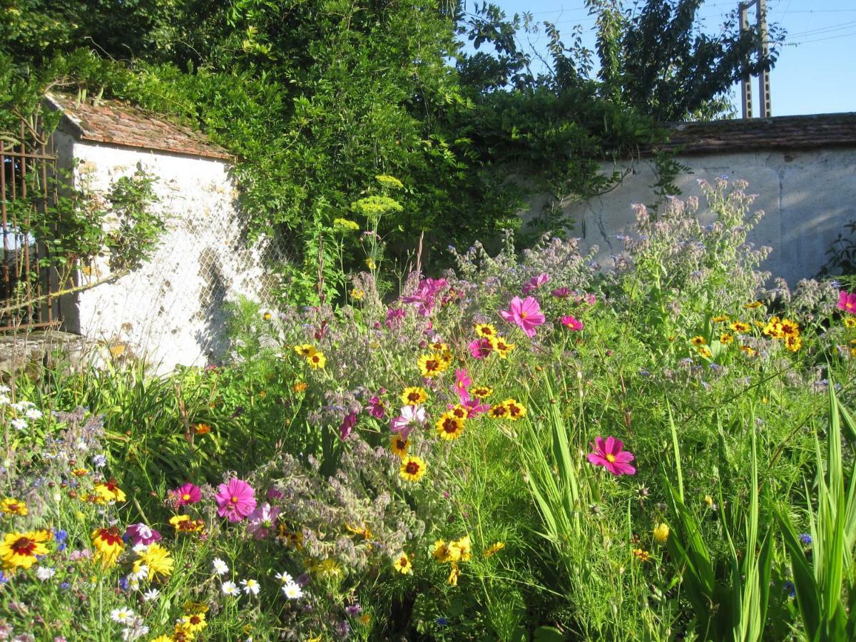 La Ferme Le Merger Bed & Breakfast La Ferte-Gaucher ภายนอก รูปภาพ